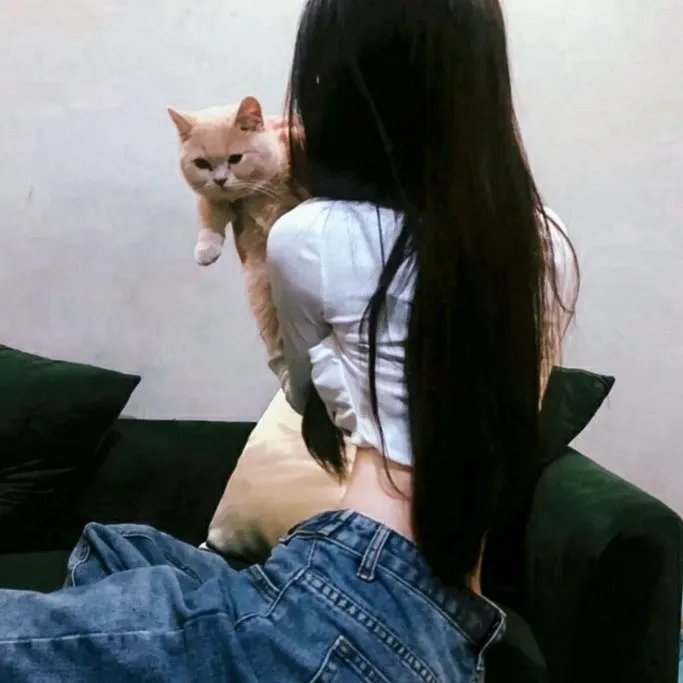 潜行追踪 第三季 在线观看